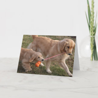 Cartão Two Dogs Blank Greeting Card