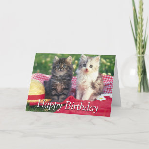 Cartão Two Kittens Sitting On A Red-Colored Blanket
