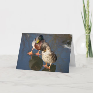 Cartão Two Mallard Ducks Greeting Card