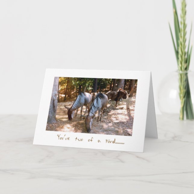 Cartão Two of a Kind Wildebeast Anniversary Card (Frente)