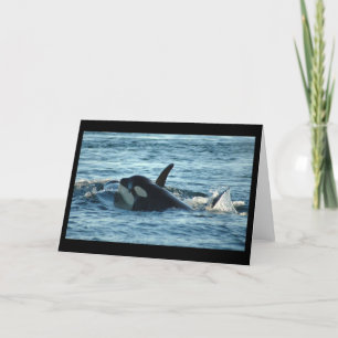 Cartão Two Orcas Greeting Card