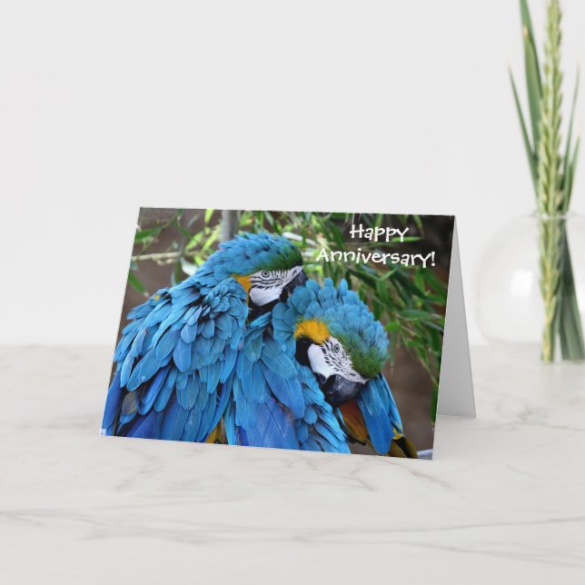 Cartão Two Parrots Happy Anniversary Greeting Card (Frente)