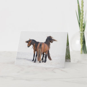 Cartão Two Sable Stallions Flowing Manes - Greeting Card