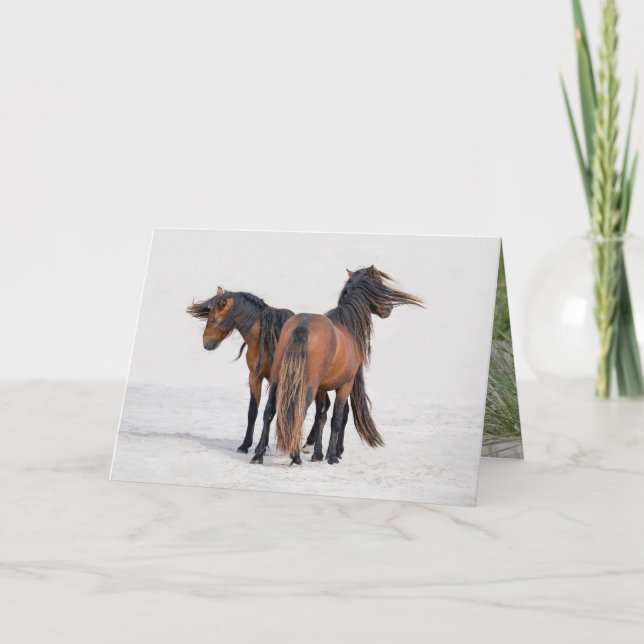 Cartão Two Sable Stallions Flowing Manes - Greeting Card (Frente)