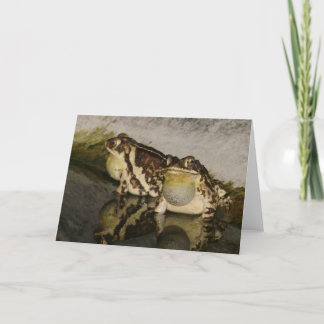 Cartão Two Toads Looking for Chicks Notecard