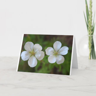 Cartão Two White Flowers Greeting Card