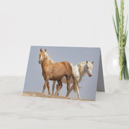 Cartão Two Wild Mares Wild Horse Greeting Card