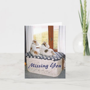 Cartão Two Wire Fox Terriers In The Window