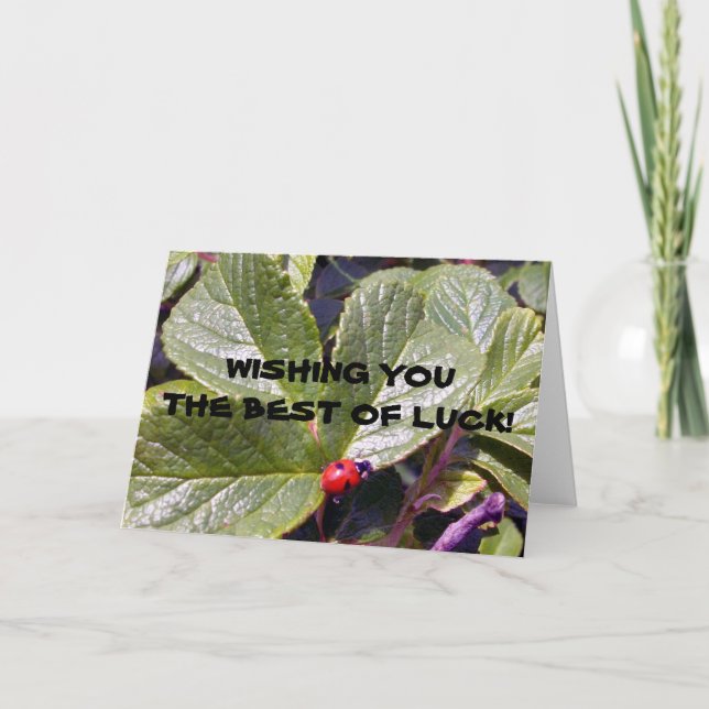 Cartão Two Years Old Ladybug Greeting Card (Frente)