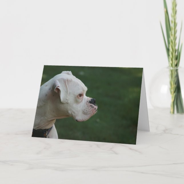 Cartão "Tyson" White Boxer Dog Photo Greeting Card (Frente)