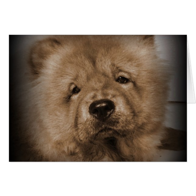 Cartão Udon, Meu Bebê (Frente horizontal)