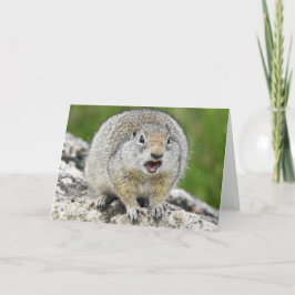 Cartão Uinta Ground Squirrel Notecard