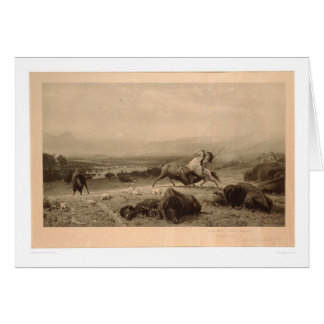 Cartão Último do búfalo Bierstadt (0137A) - não