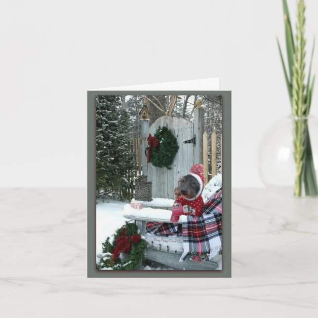 Cartão Um Adorável Dia dos Invernos (Frente)