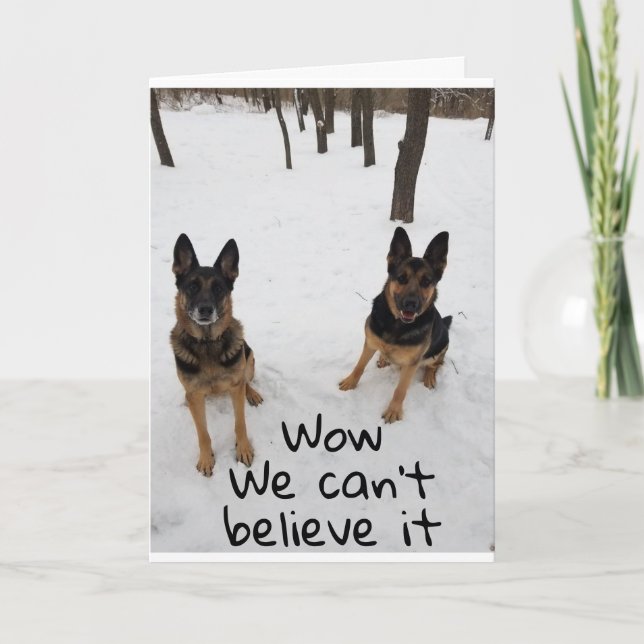 CARTÃO UM AMIGO E EU DIZEMOS VETERINÁRIO "FELIZ ANIVERSÁR (Frente)