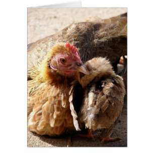 Cartão Um Amor da Mãe, Todos os Vazios de Ocasião