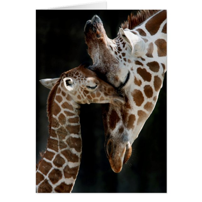 Cartão Um amor de mãe (Frente)