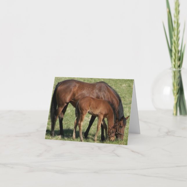 Cartão Um Amor Mães (Frente)