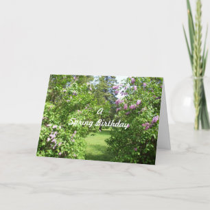 Cartão Um arbusto de lilás-de-Aniversário Primavera