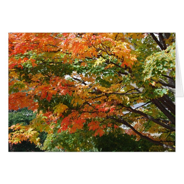 Cartão Um belo dia do outono em Salem, MÃES (Frente horizontal)