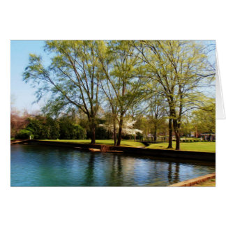 Cartão Um Bonito Dia do Primavera no Parque
