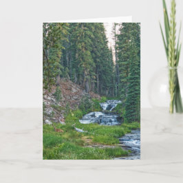 Cartão Um Buck Rest em um rio em cascata