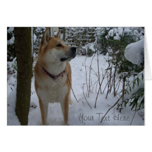 Cartão Um cachorro akita japonês bonito na neve no Natal