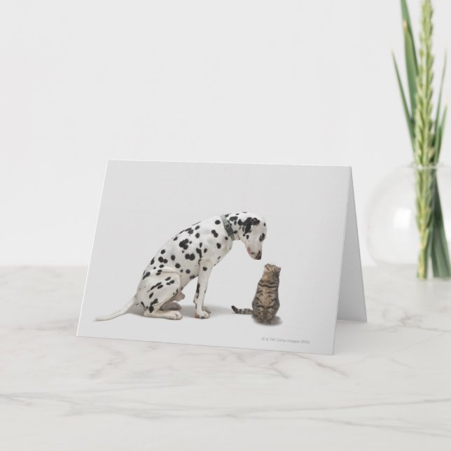 Cartão Um cachorro olhando um gato (Frente)