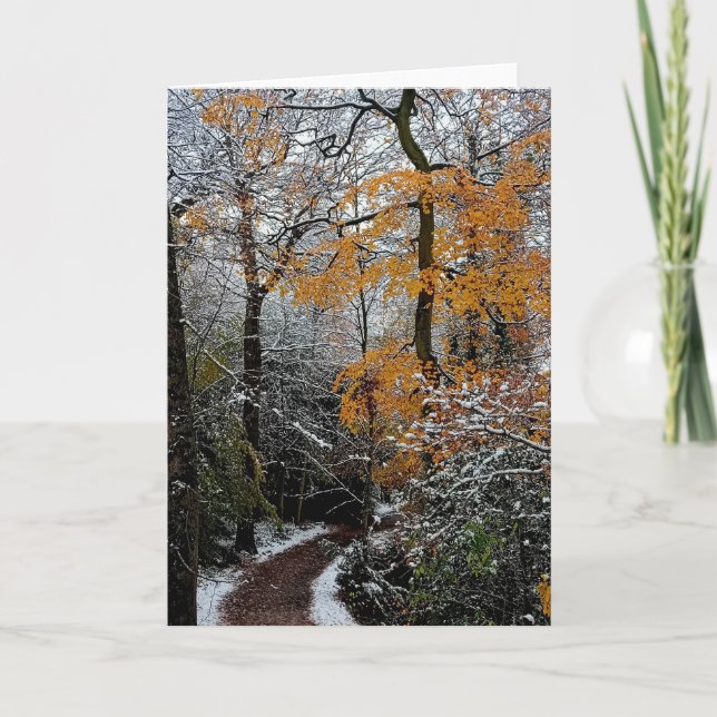 Cartão Um caminho pelas árvores (Frente)