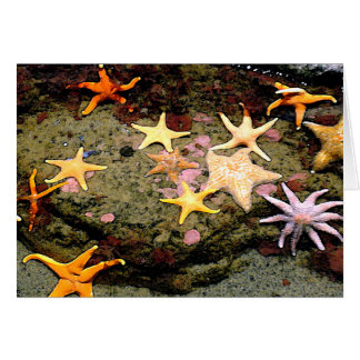 Cartão Um campo das estrelas