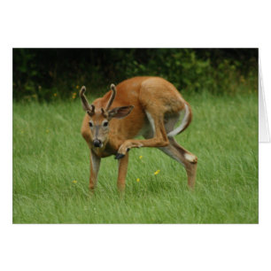 Cartão Um caro Comichão