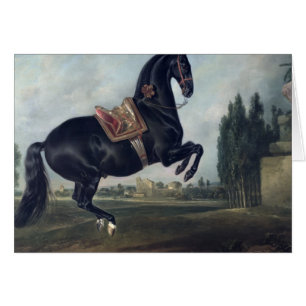 Cartão Um cavalo preto que executa o Courbette
