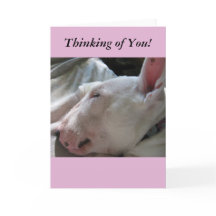 Um cochilo no seu pensamento solar