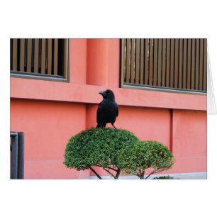Cartão Um Corvo-Selvagem Grande Uma Perca Numa Árvore De
