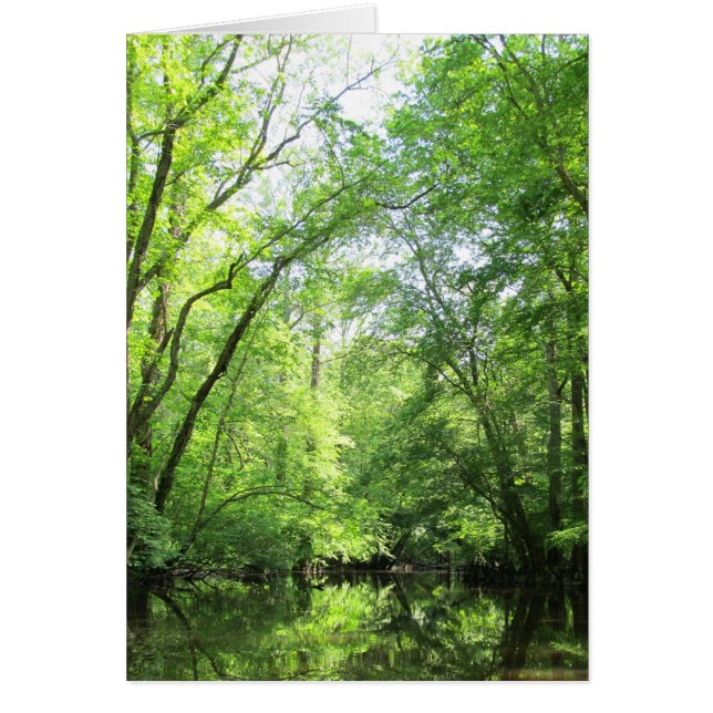 Cartão Um Creek Silencioso (Frente)