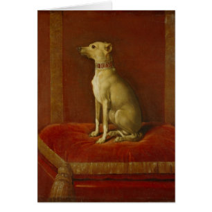 Cartão Um de Frederick os galgos italianos de II