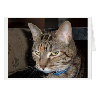 Cartão Um desses dias