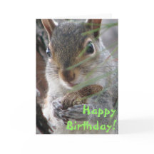 Um Esquilo Bonito Desenterrou Um Feliz Aniversário