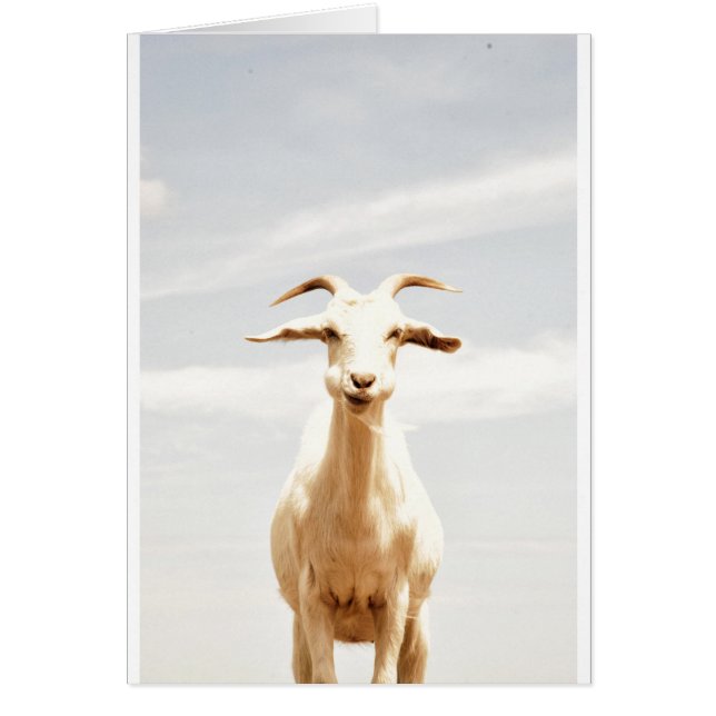 Cartão Um estranho (Frente)