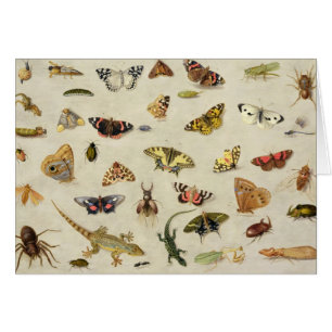 Cartão Um estudo dos insetos