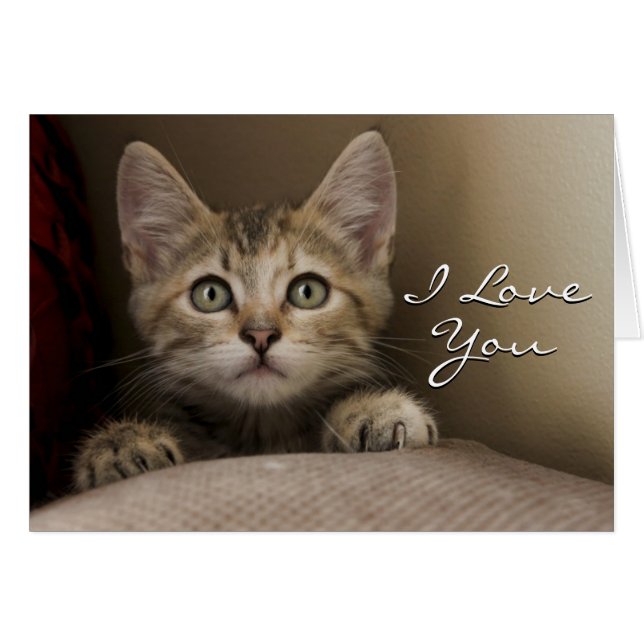 Cartão Um Gatinho Muito Doce (Frente Horizontal)