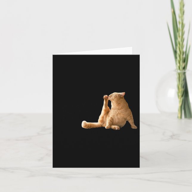 Cartão Um Gato Engraçado De Cly Mindful (Frente)