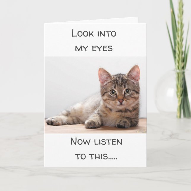 CARTÃO UM GATO QUE TEM SENTIMENTOS DIZ "ANIVERSÁRIO FELIZ (Frente)