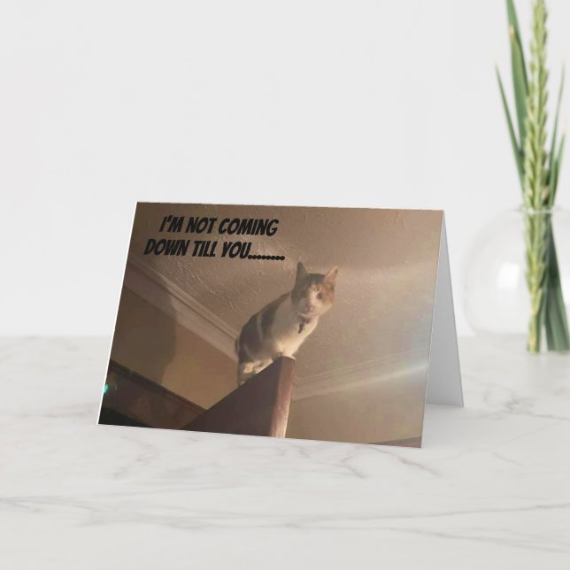 CARTÃO UM GATO SÉRIO DIZ "ANIVERSÁRIO FELIZ" (Frente)