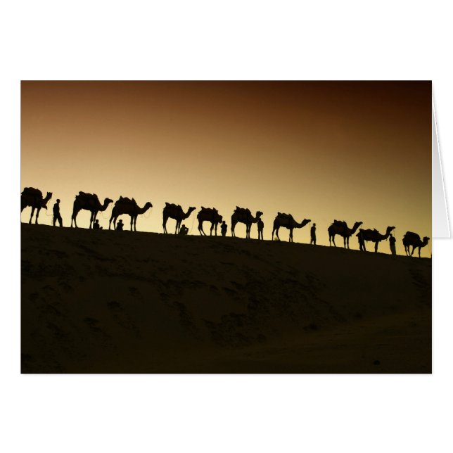 Cartão Um grupo de pastores de camelos com seus camelos (Frente Horizontal)