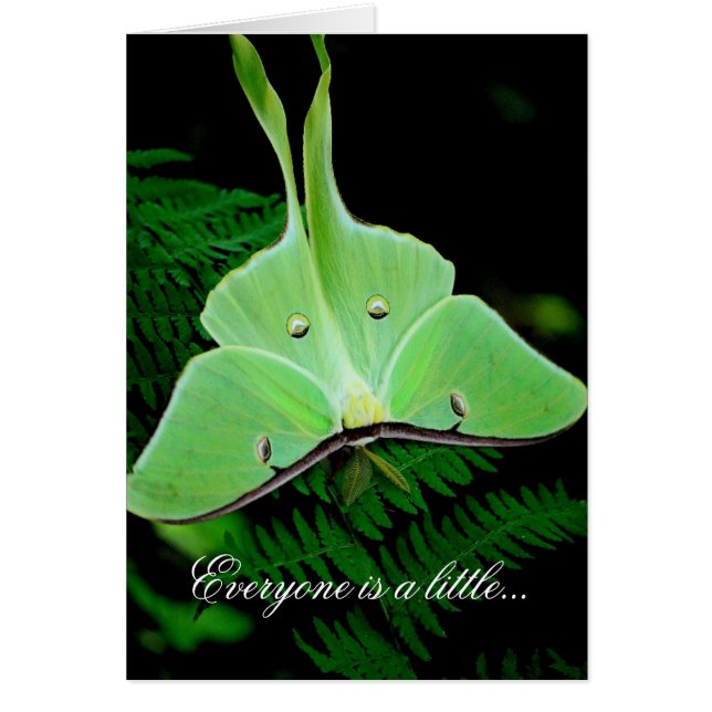 Cartão Um irlandês pequeno (Frente)