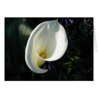 Cartão Um lírio do vale