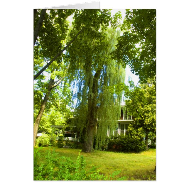 Cartão Um lugar além - Mistério quase à vista (Frente)