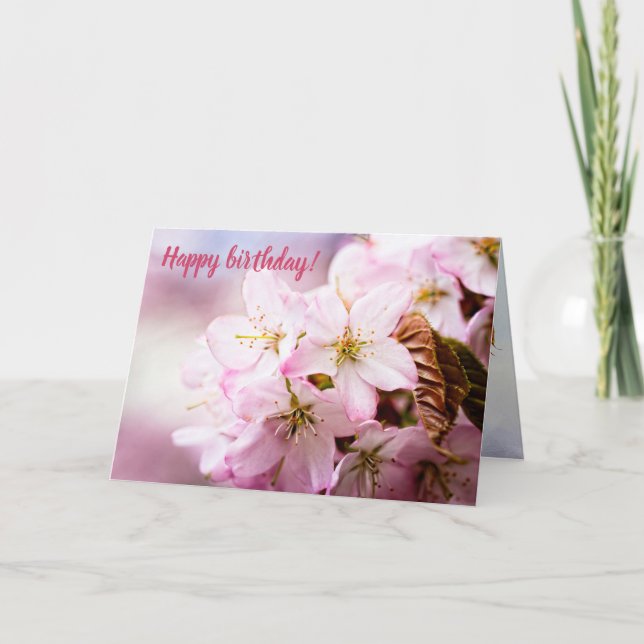 Cartão Um Monte De Sakura Rosa Contra O Fundo Rosa (Frente)