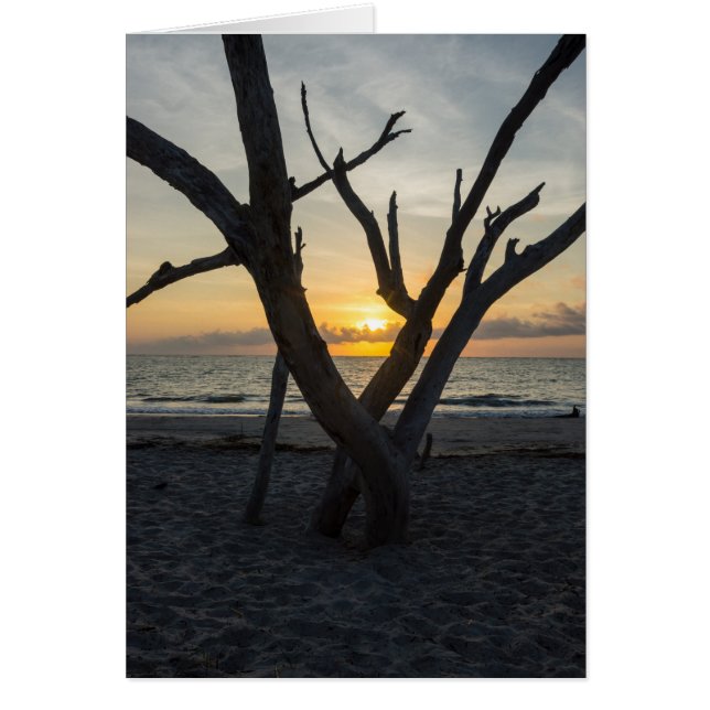 Cartão Um nascer do sol (Frente)